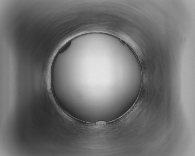 X0000101421528200807211118