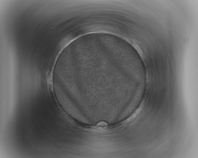 X0000101421529200807211118