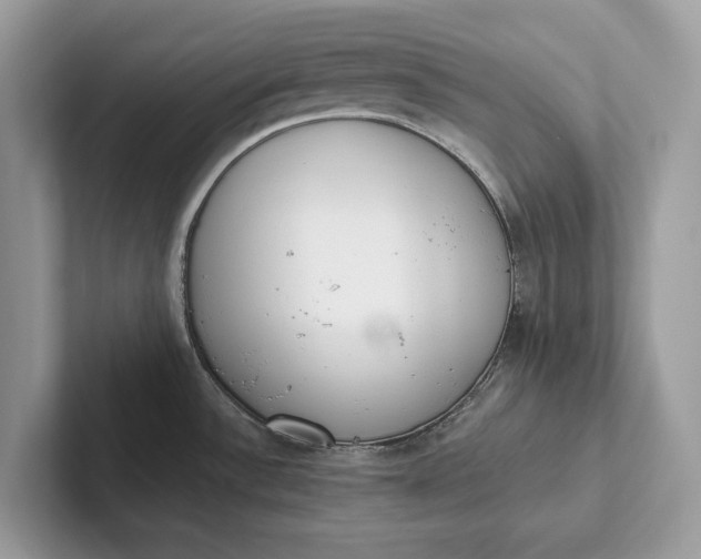 X0000101421532200807211118