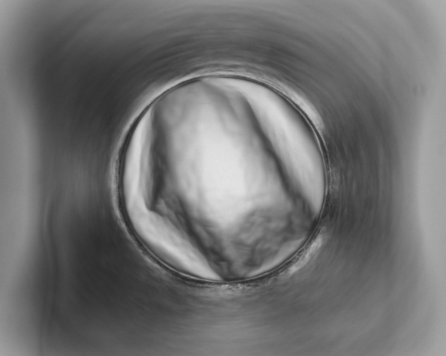 X0000101421533200807211118