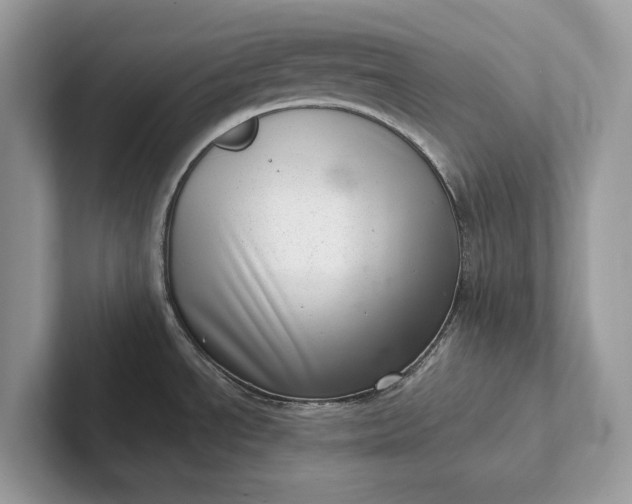 X0000101421534200807211118