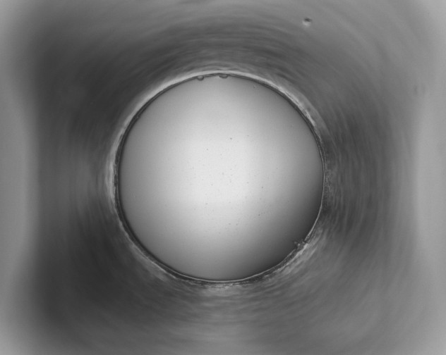 X0000101421535200807211118