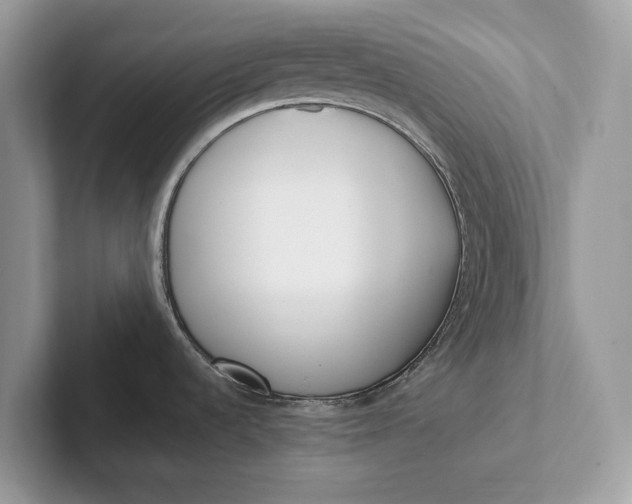 X0000101421536200807211118