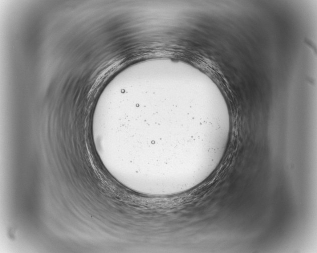 X0000101420001200807280948