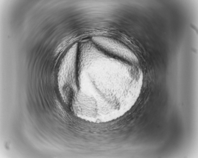 X0000101420002200807280948