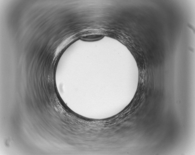 X0000101420004200807280948
