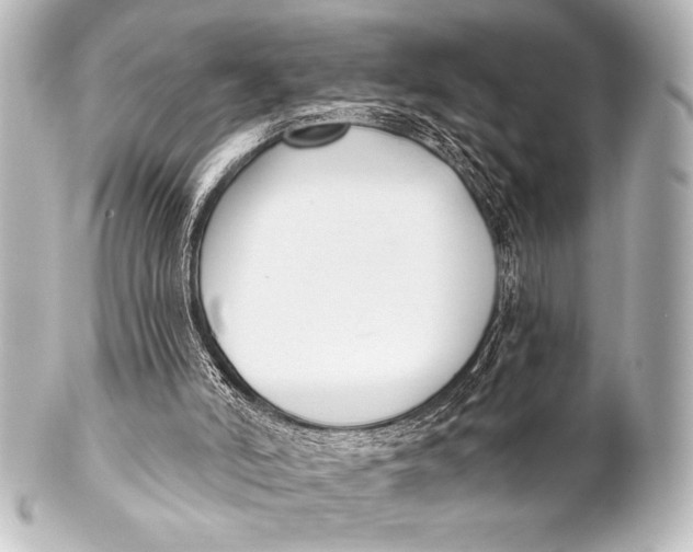 X0000101420006200807280948