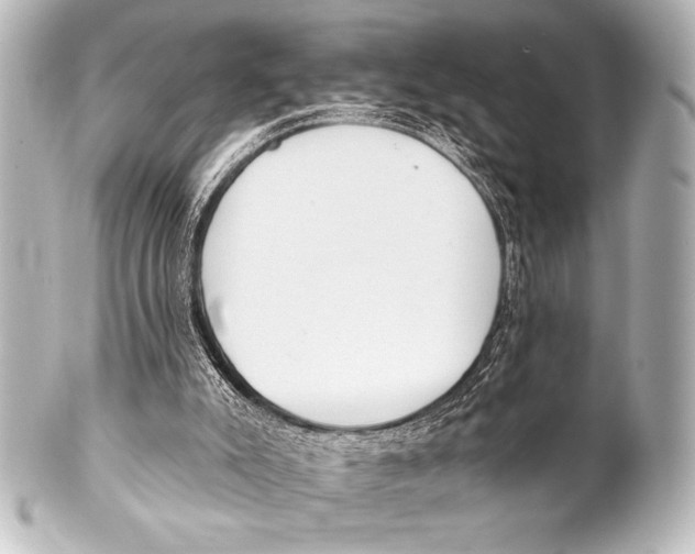 X0000101420007200807280948