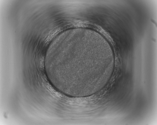 X0000101420009200807280948