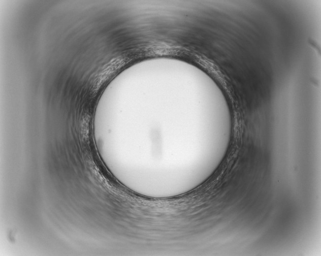 X0000101420010200807280948