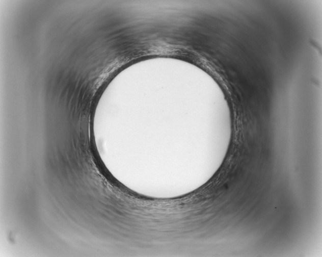 X0000101420011200807280948