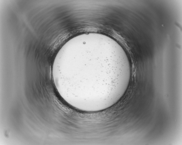 X0000101420013200807280948