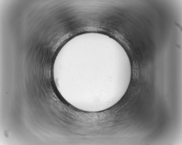 X0000101420015200807280948