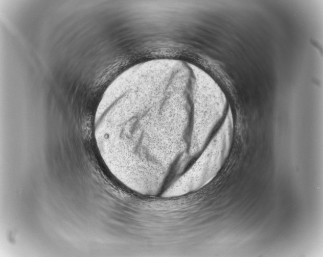 X0000101420017200807280948