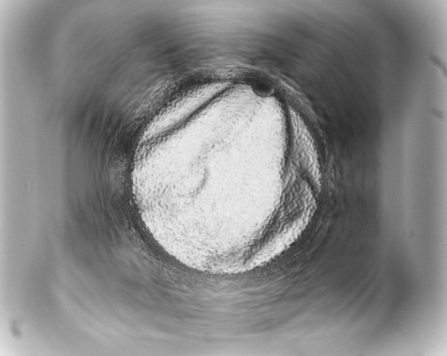 X0000101420018200807280948