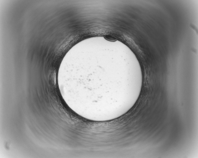 X0000101420021200807280948