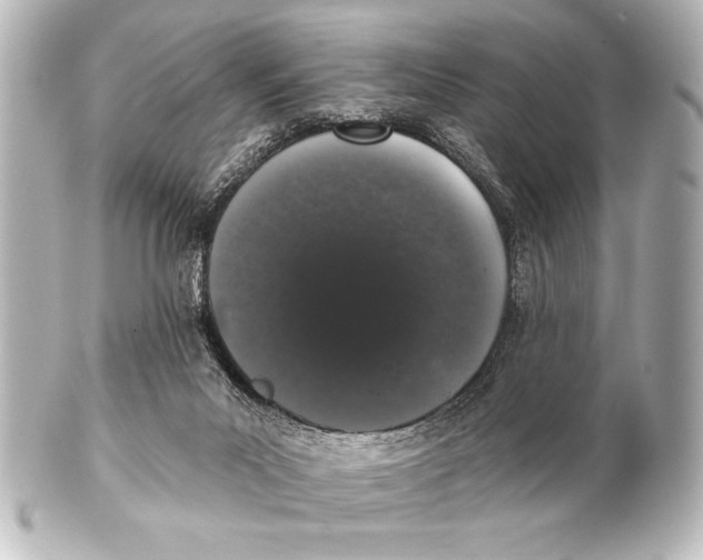 X0000101420023200807280948