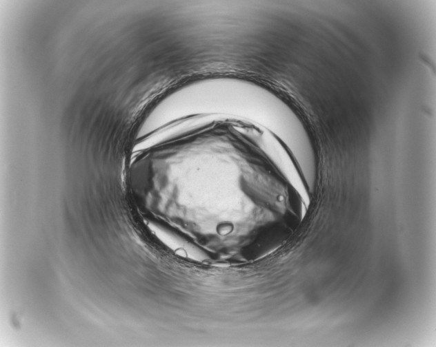 X0000101420024200807280948
