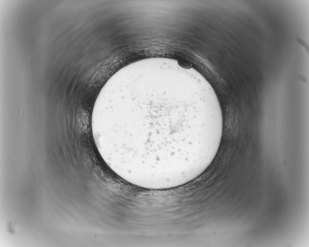 X0000101420025200807280948