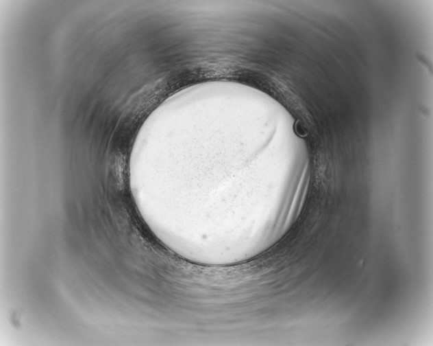 X0000101420026200807280948