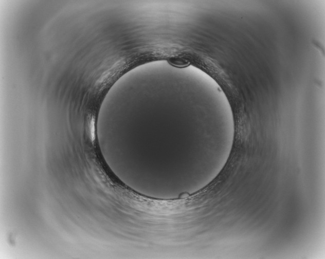 X0000101420027200807280948