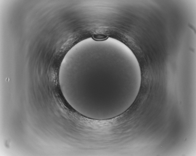 X0000101420031200807280948