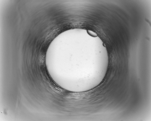 X0000101420033200807280948