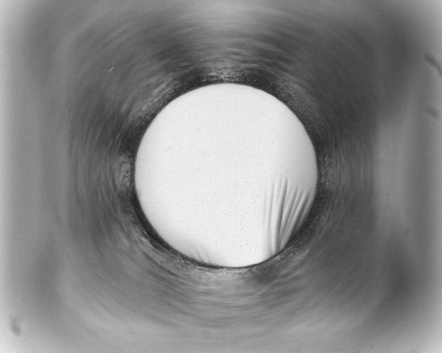 X0000101420036200807280948