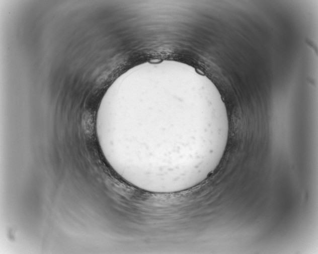 X0000101420037200807280948