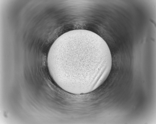 X0000101420038200807280948