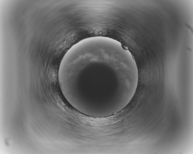 X0000101420039200807280948