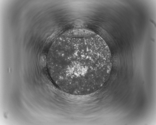 X0000101420043200807280948