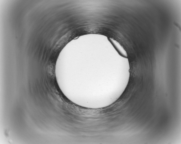 X0000101420044200807280948