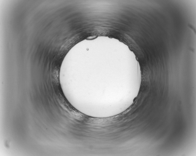 X0000101420045200807280948