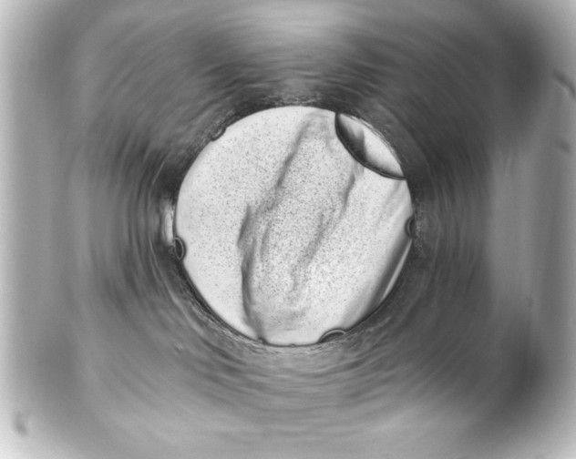 X0000101420046200807280948