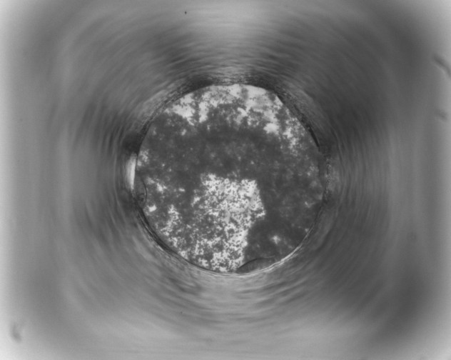 X0000101420047200807280948