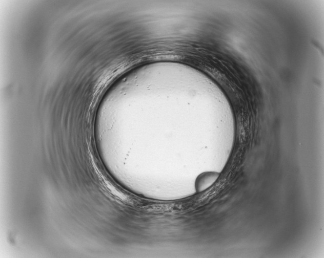 X0000101420049200807280947
