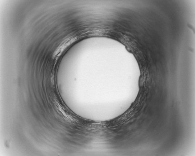 X0000101420050200807280947