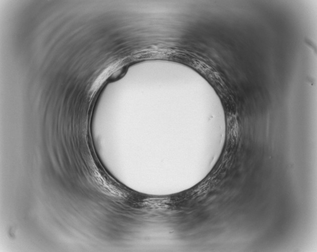 X0000101420051200807280947