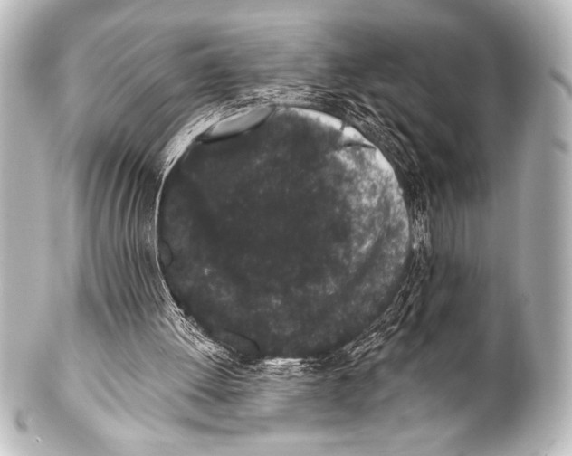 X0000101420052200807280947