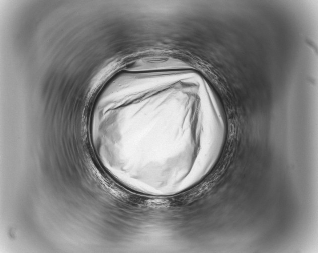X0000101420053200807280947
