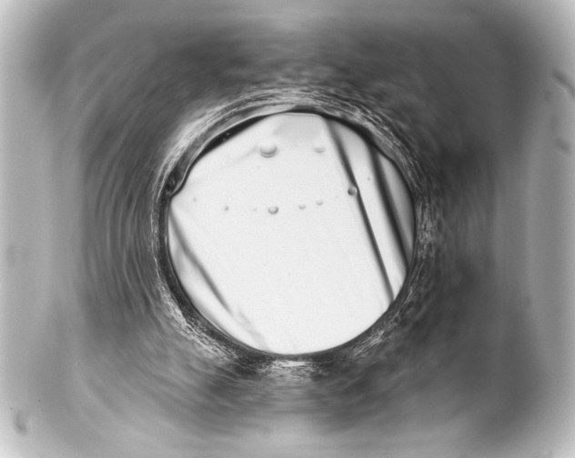 X0000101420055200807280947