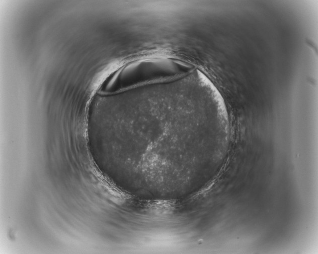 X0000101420056200807280947