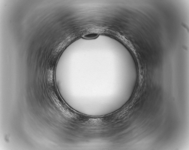X0000101420057200807280947