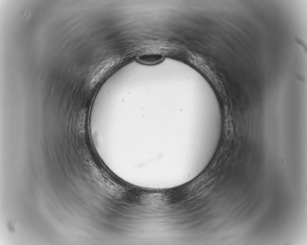 X0000101420058200807280947