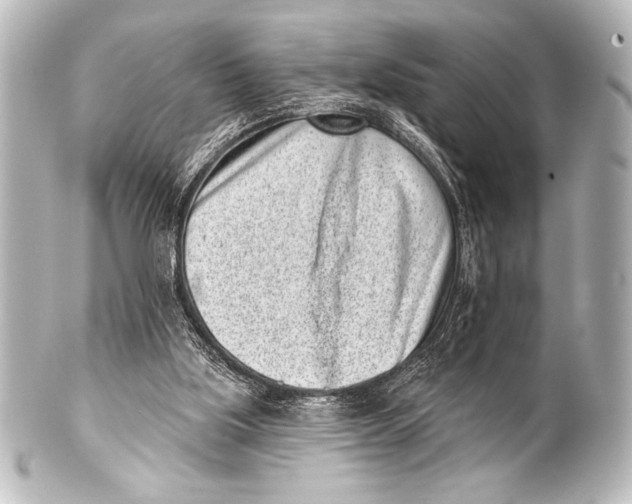 X0000101420059200807280947