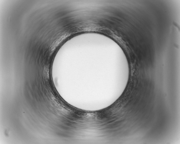 X0000101420060200807280947