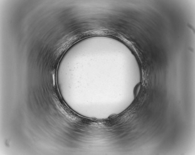 X0000101420061200807280947