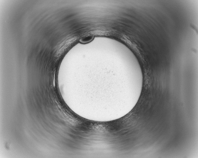 X0000101420062200807280947