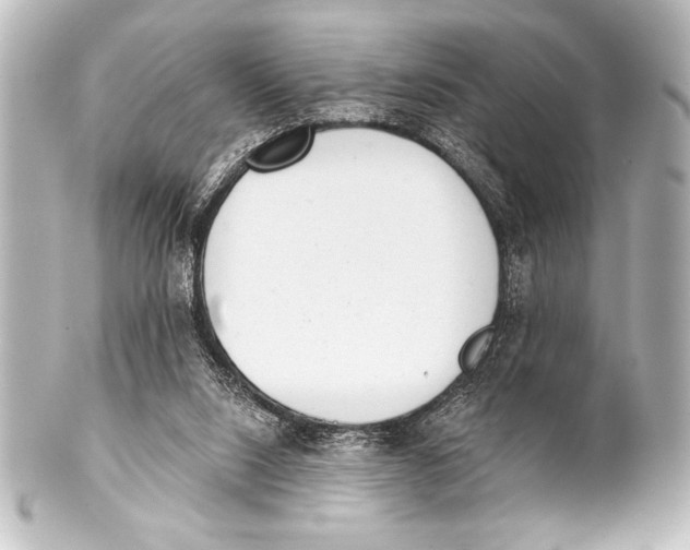 X0000101420064200807280947